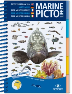 LIVRE PICTOLIFE MEDITERRANEE Immergeable