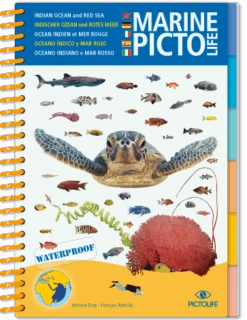 LIVRE PICTOLIFE OCEAN INDIEN ET MER ROUGE Immergeable