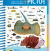 LIVRE PICTOLIFE PACIFIQUE ASIATIQUE Immergeable 1 LIVRE PICTOLIFE PACIFIQUE ASIATIQUE Immergeable -Plongée Soldes Boutique LIVRE PICTOLIFE PACIFIQUE ASIATIQUE immergeable 979 10 9