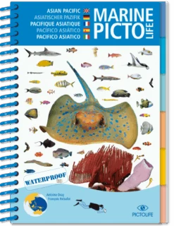 LIVRE PICTOLIFE PACIFIQUE ASIATIQUE Immergeable