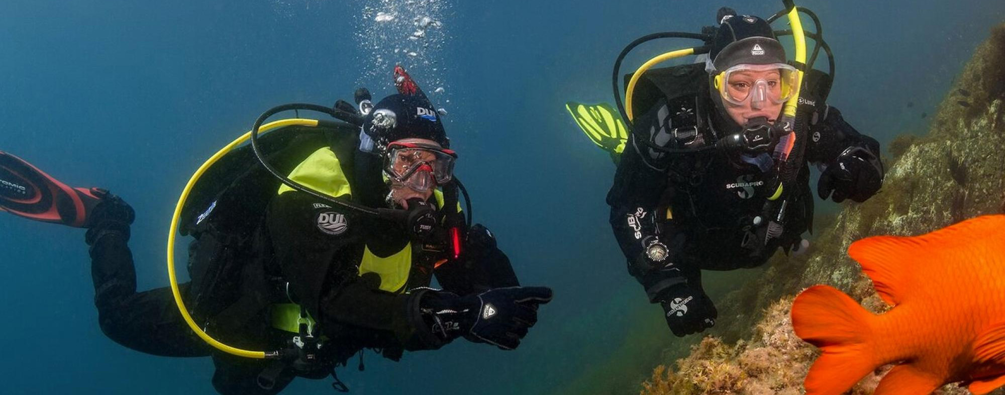 Plongée Soldes Boutique -Plongée Soldes Boutique 1